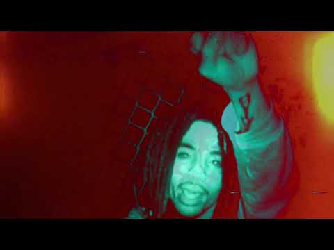 Lite Fortunato- WhenItComesToDaMolly (Official Video)