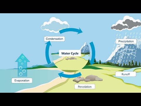 #Watercycle process | #hydrologicalcycle| #Watercycle Explanation | #letsgrowup