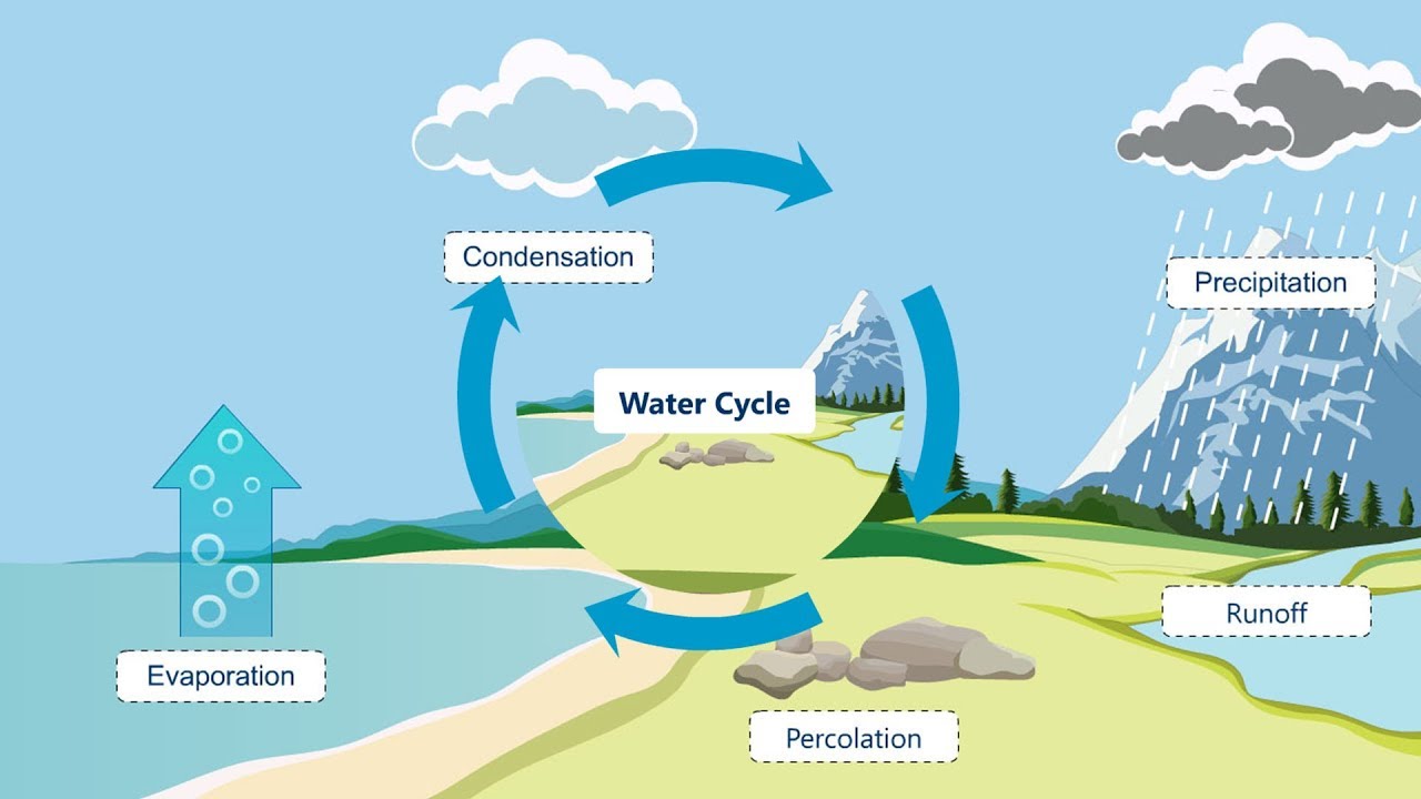 #Watercycle process | #hydrologicalcycle| #Watercycle Explanation | #letsgrowup