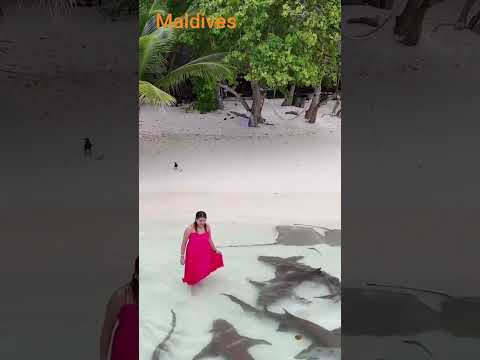 maldives patina recort view.  # follower# highlight # everyone # active # #beach # you tub#