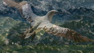 Suzy Bogguss. Part Of Me