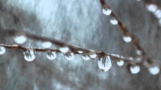 Chopin | Prelude in E minor, Op. 28 No. 4