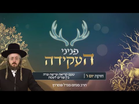 פניני העקידה - יום ו' פרשת חוקת