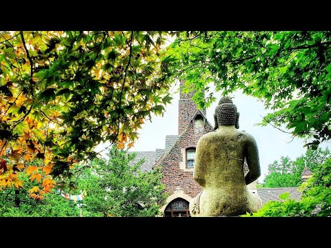 Liberation through Samādhi: AN 3.32 Sutta Study with Bhante Suddhāso