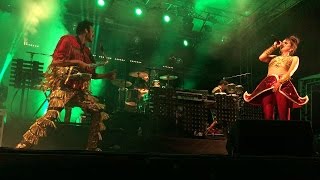Deluxe - Mr Chicken (Festival RhinoféRock 2016)