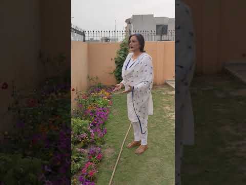 Dr Sughra Sadaf watering the flowers