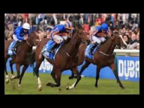 Favourite Churchill wins Dewhurst  STAKES