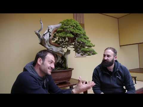 Bonsai connecting people with Edis Ziegler ( Bonsai Zentrum Heidelberg)