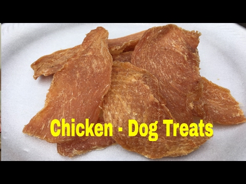 download lagu mp3 mp4 Rogue Dog Treats, download lagu Rogue Dog Treats gratis, unduh video klip Rogue Dog Treats