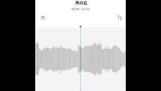 #駄菓子cOver型 - 月の丘/青葉市子