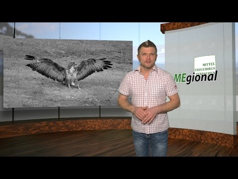 MEgional 2017 02 22 - Unsere Nachrichten für das Mittlere Erzgebirge