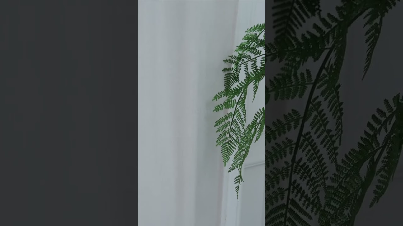 The Classic Velvet #curtains — where refined elegance meets uncompromising blackout precision.