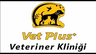 VET PLUS VETERİNER KLİNİĞİ TANITIM VİDEOSU