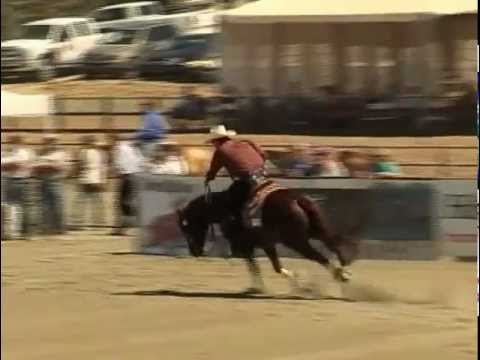 SMOKING WHIZ 2012RBB OPEN DERBY CHAMPION SCORE 231 5