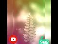 Onnanam Kunninmel Neyyvilak Malayalam Film Song