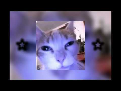 zxcursed, MUPP  -  haunt [ •speed up//nightcore• ]