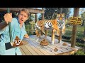 CLEANING All The ANIMALS AT MY ZOO