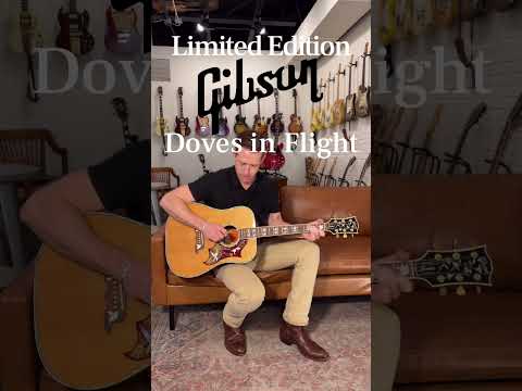 Gibson Doves in Flight 2016 image 9
