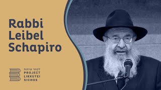 Vol 23 - Matos - Rabbi Leib Schapiro
