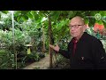 Planten en vlinders in winterstand, Passiflorahoeve is dicht