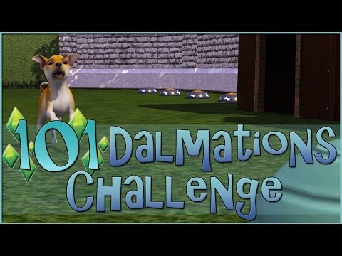 Some Serious Puppy Training!! • Sims 3: 101 Dalmatians Challenge  - Episode #97