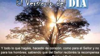 Miniatura del video: El versiculo del dia .com - Colosenses 3 v23-24