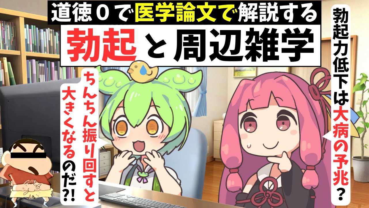 勃起の仕組みと"大きくする”方法【ずんだもん解説】