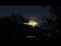 Phir Na Aisi Raat Aayegi By Arijit Sing 𝙰𝚎𝚜𝚝𝚑𝚎𝚝𝚒𝚌 𝚂𝚝𝚊𝚝𝚞�