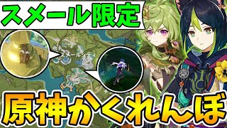 【原神】超複雑な新マップ!スメールを使った原神かくれんぼ!【Genshin Impact】