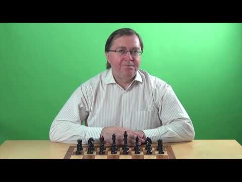 Einführungsvideo 1.b3 Variante