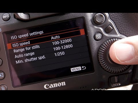Auto ISO: Two Minute Tips with David Bergman