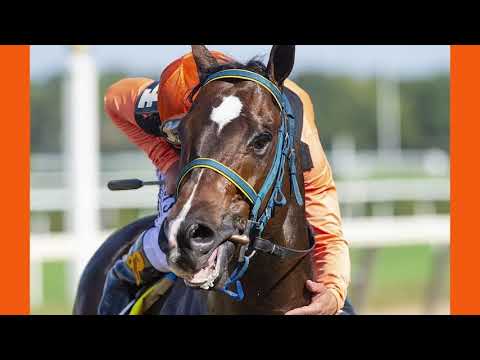 Imperial Hint Stallion Presentation Video