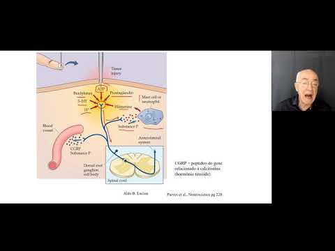 Nocicepção aula 1: Transdução dos Estímulos de Dor