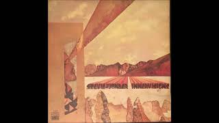 Stevie Wonder - Too High (Vinyl Remaster)