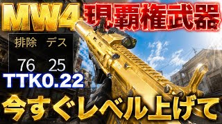 【必見🔰】真っ先に育てるべき『4発キルTTK0.2秒の瞬溶け武器』オススメカスタムを紹介します【MW4】