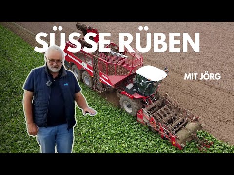 Von Experten für Profis –  Wie kommt der Zucker in die Rübe?