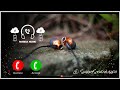 Yahi Baat Apni Samajh Me Na Aayi Ringtone Download