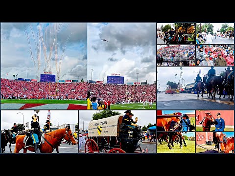 HORSE Cavalry Troopers Ride in the Tournament of Roses Parade 2026