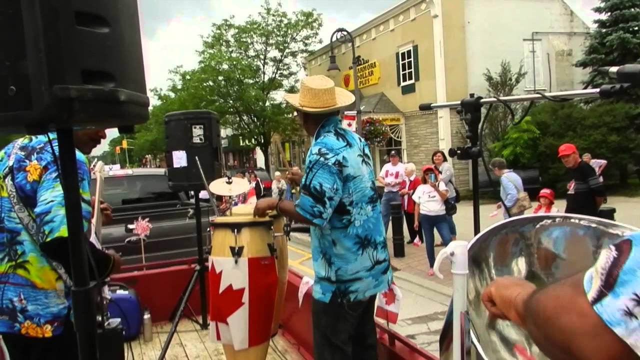 Hire Steeldrum Hu Steel Drum Player in Barrie, Ontario