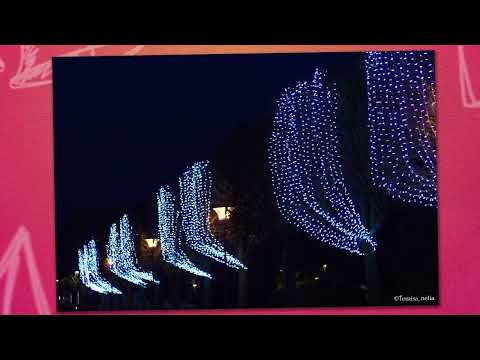 image : Carte postale les lumières de Noël