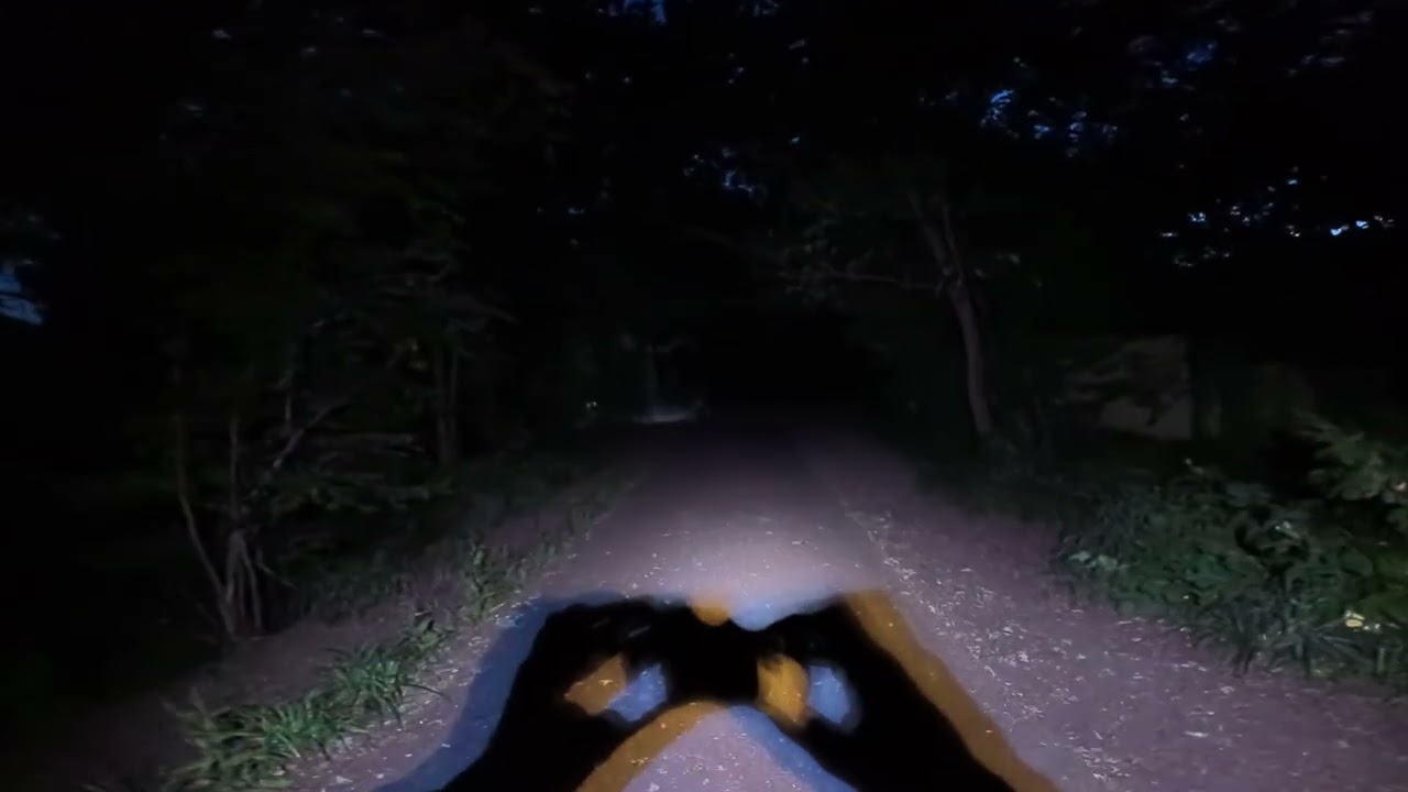 GoPro M1 Pro &mdash; Low Light 4K30 - YouTube