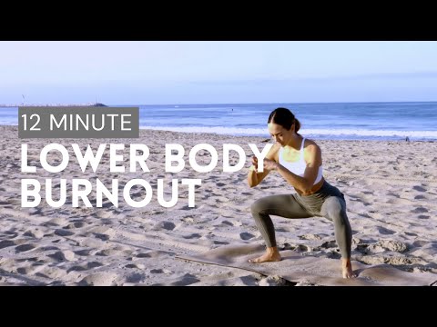 12 MINUTE LOWER BODY BURN OUT - low impact, no equipment, all fitness levels! | Dr. LA Thoma Gustin