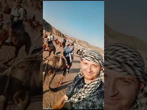 #egypt #safariadventure #camel #ride #vlogger #hurghada