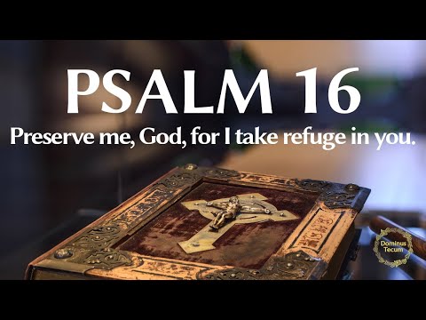 📖 Psalm 16 - Preserve me, God, for I take refuge in you.