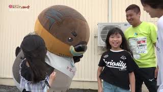 2026/10/26放送・知ったかぶりカイツブリにゅーす