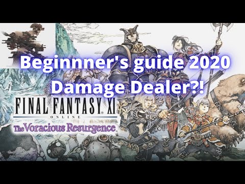 Final Fantasy XI Beginner's Guide 2020 Damage Dealer?!