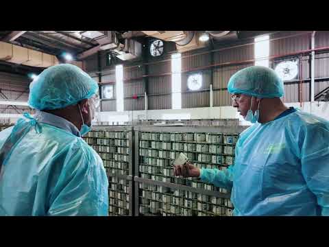 Islamic Relief Canada Qurbani Project