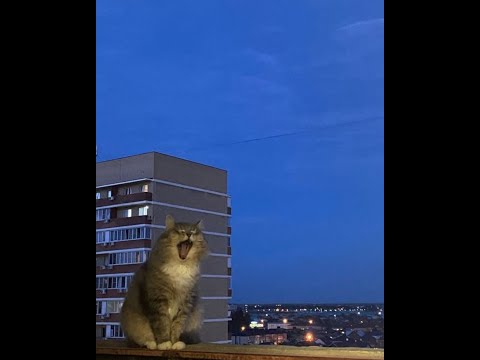 [FREE] Post-Punk x Alternative x Eyedress Type Beat - "shadow"