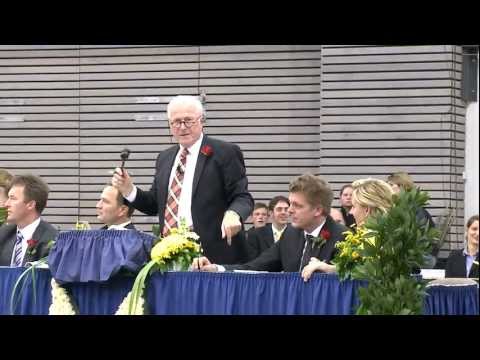 Hannoveraner Hengstmarkt 2011 - Preisspitze