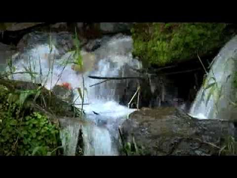 Claudia Palacios y Santiago Cruz enseñan a niños el uso de la tecnología